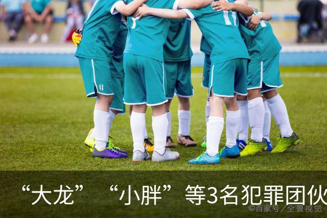 “大龙”“小胖”等3名犯罪团伙骨干已被批捕 山东警方公开征集案件线索